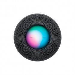 HomePod Mini Gris