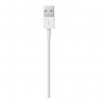 Cable USB 0.5m