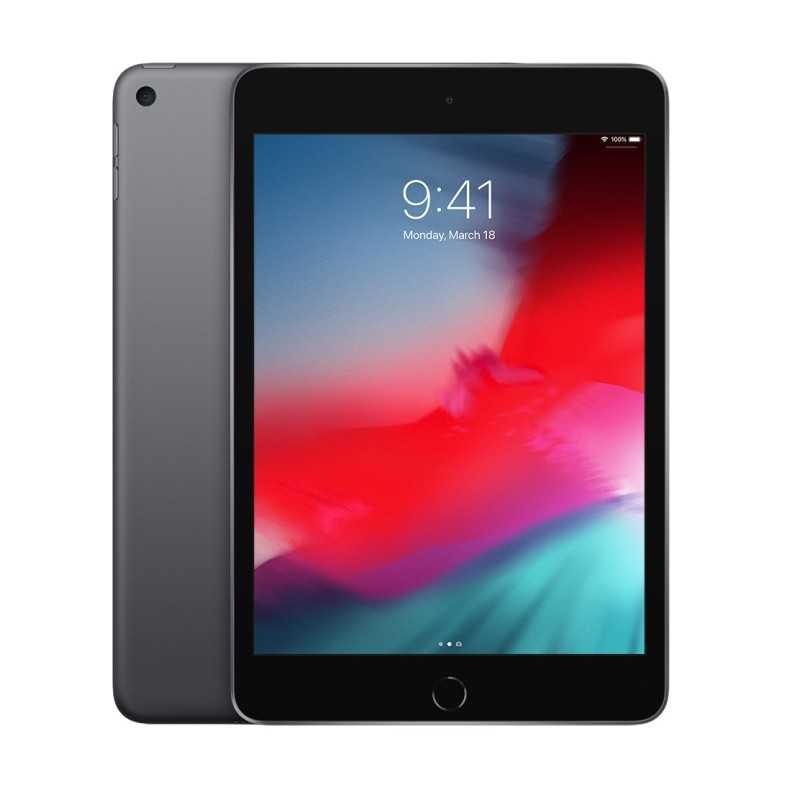 iPad mini Wi-Fi 256GB 5 Gen Gris