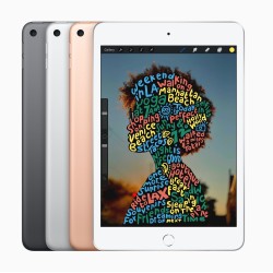 iPad mini Wi-Fi 256GB 5 Gen Gris