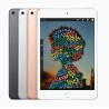 iPad mini Wi-Fi 256GB 5 Gen Gris