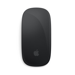 Magic Mouse Negro