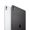 13 iPad Pro WiFi 2TB Nanotexture Glass Space Black